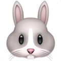 Rabbit emoji apple