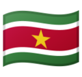 Suriname emoji goolge