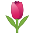 Tulip emoji google