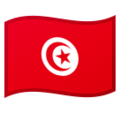Tunisia emoji goolge